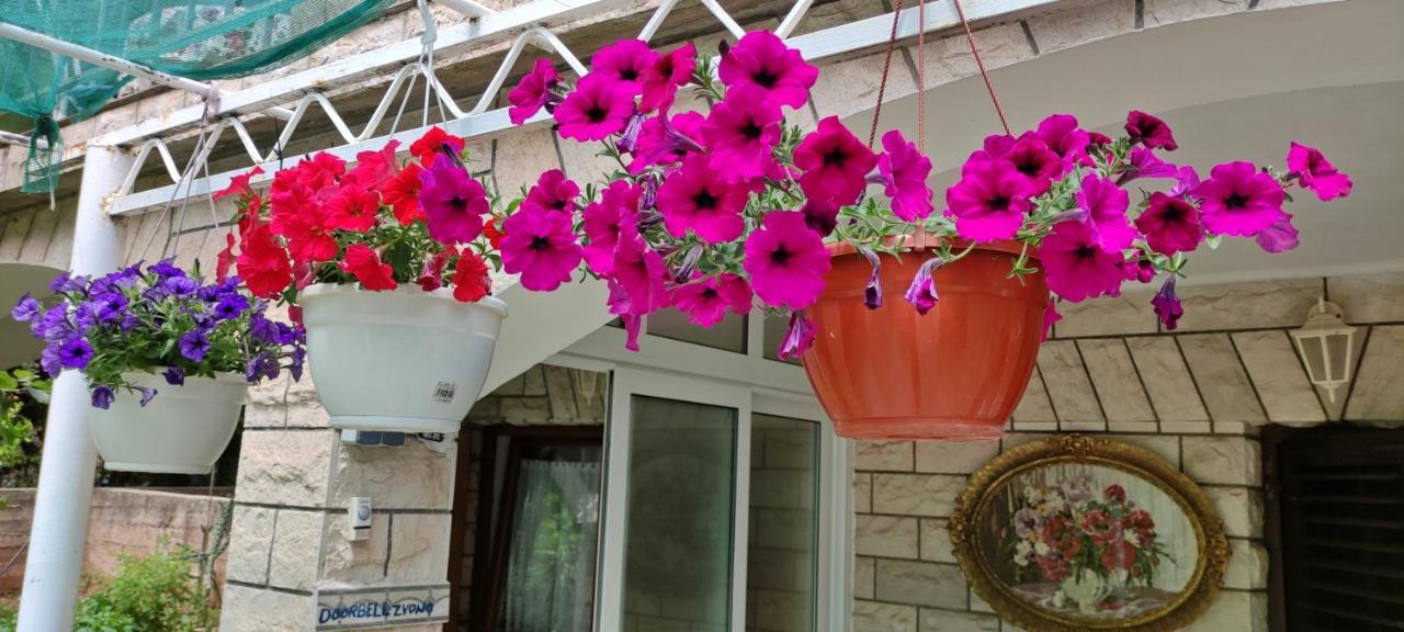 Apartments 1000 Flowers Stari Grad  Bagian luar foto