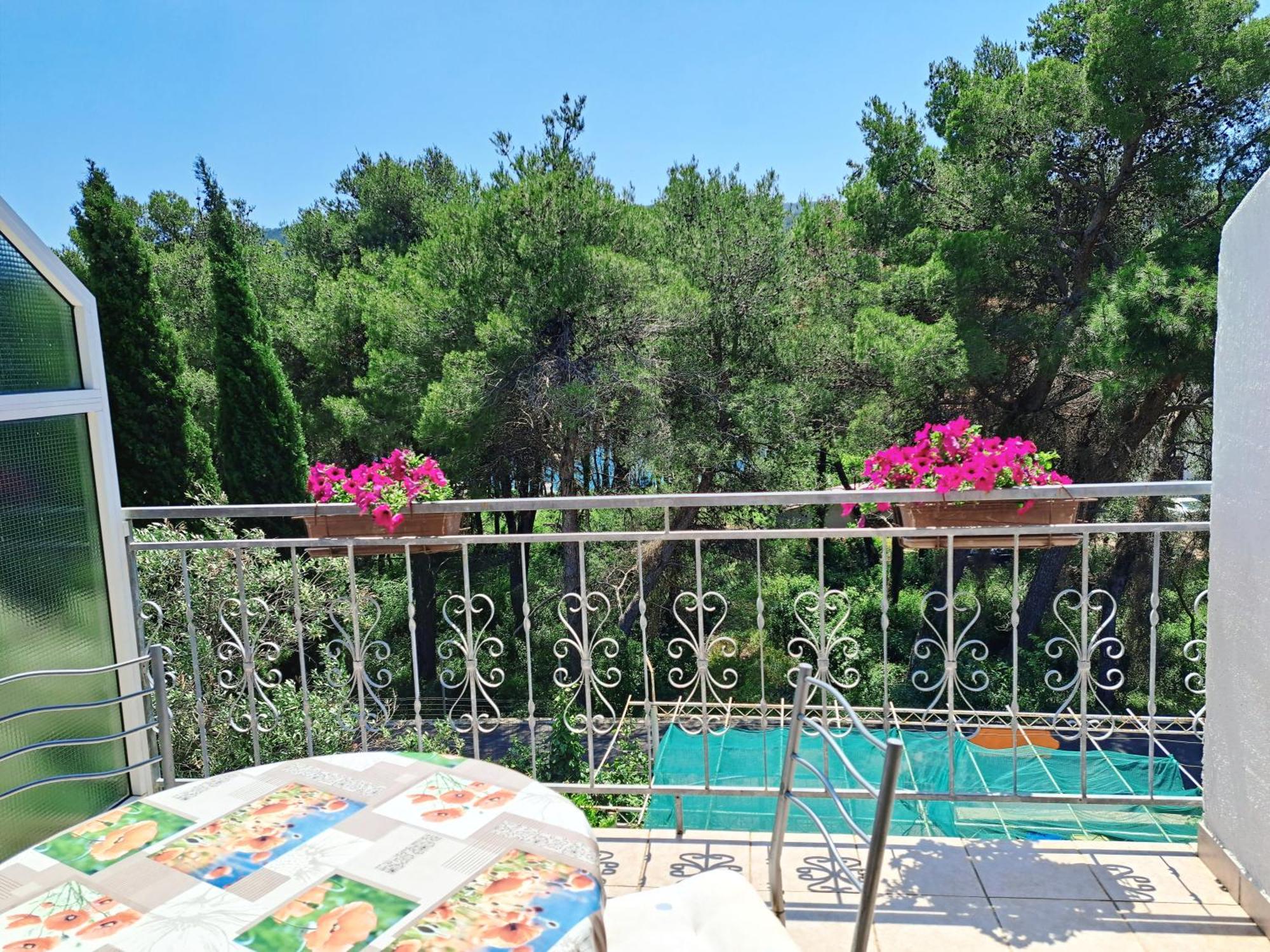 Apartments 1000 Flowers Stari Grad  Ruang foto
