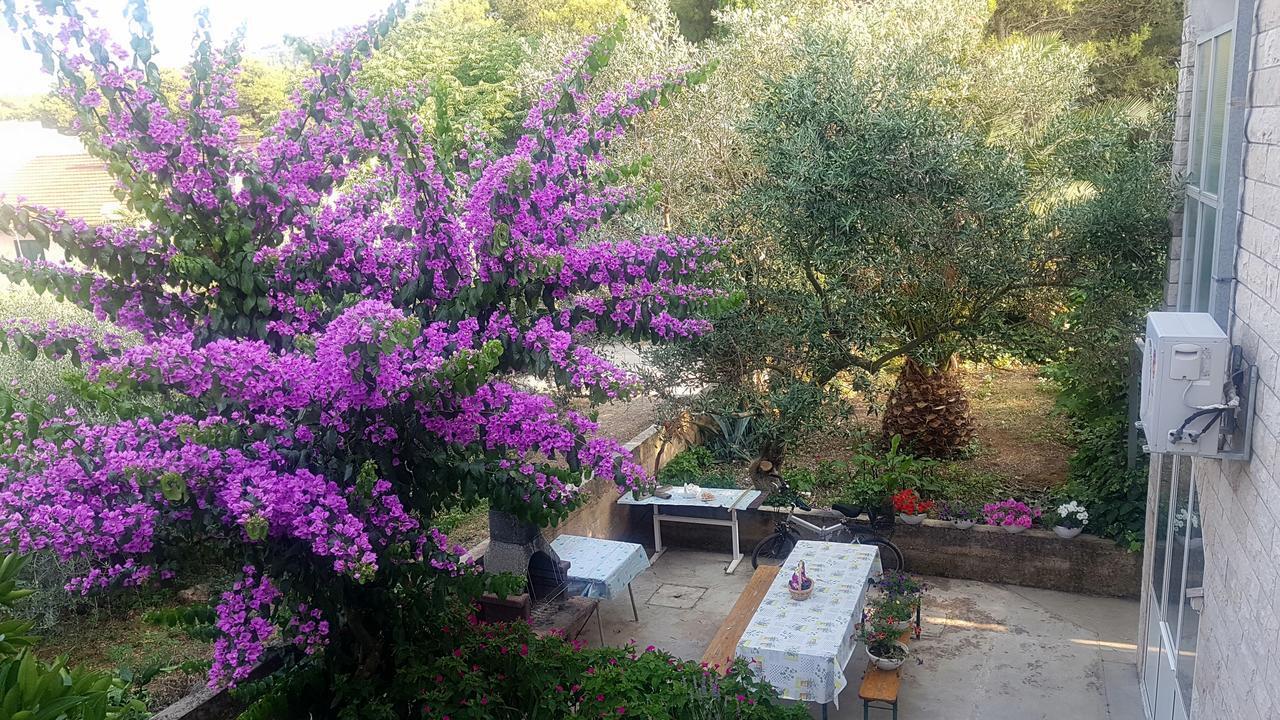 Apartments 1000 Flowers Stari Grad  Bagian luar foto